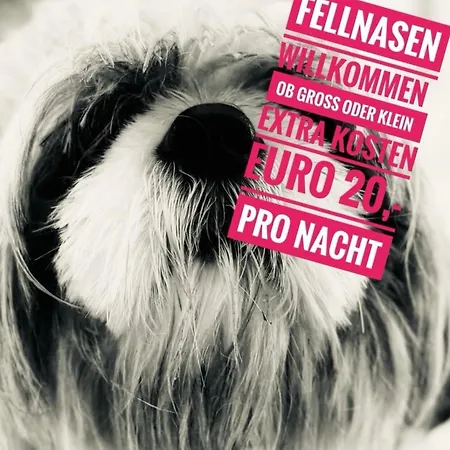 Lisis Chaletsuite By Alpin Charme